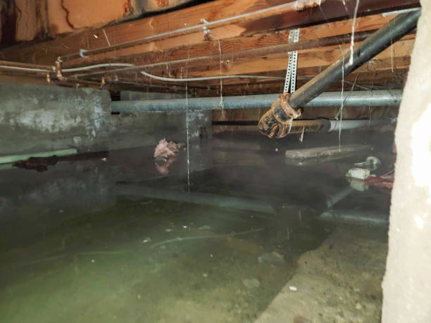 Best 24-hour water damage restoration  in Las Maravillas, NM