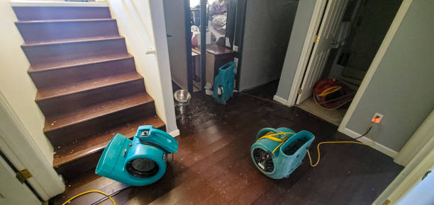 Best Carpet water damage restoration  in Las Maravillas, NM