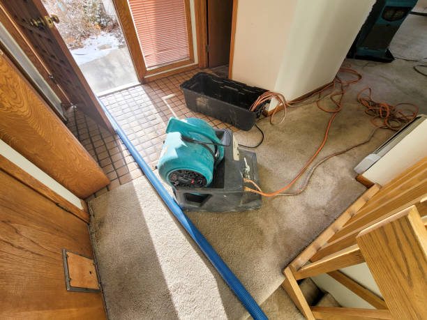 Best Water damage restoration near me  in Las Maravillas, NM