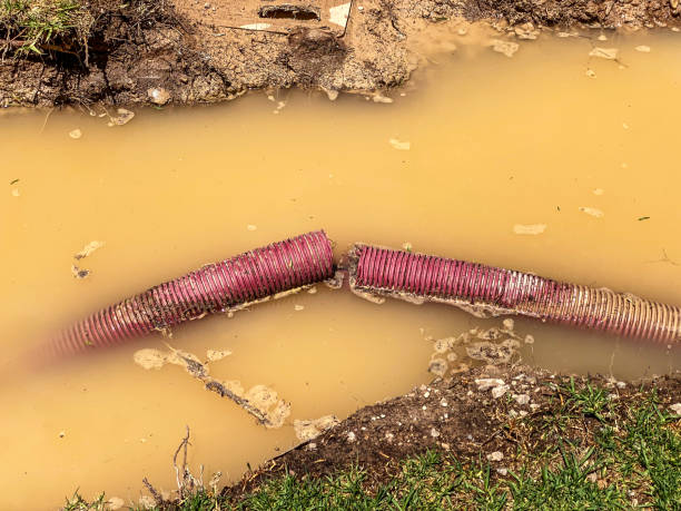 Best Flood restoration services  in Las Maravillas, NM